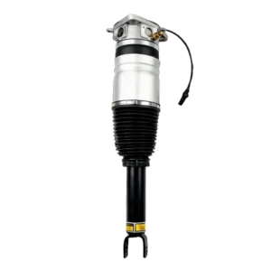 Volkswagen Phaeton 3D Rear Right Air Suspension Strut OE 3D0616001 Wholesale Supplier - Rear Right