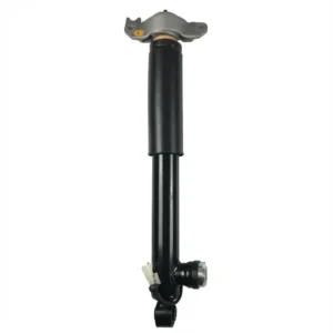 Buick Regal Rear Left Complete Strut Assembly OE 22744712 Wholesale Supplier - Rear Left