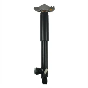 Buick Regal Rear Right Complete Strut Assembly OE 22744713 Wholesale Supplier - Rear Right