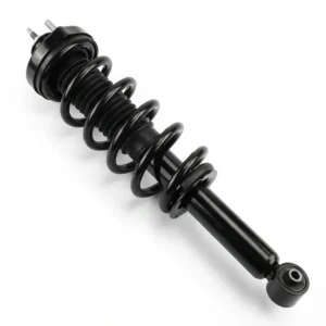Chrysler Journey Rear Complete Strut Assembly Ref 172896 Wholesale Supplier - Rear