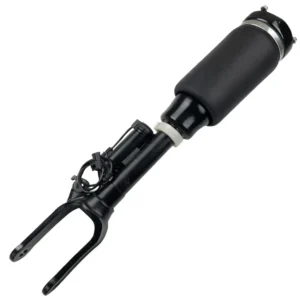 Mercedes-Benz R-Class Front Air Suspension Strut OE 2513203013 Wholesale Supplier - Front