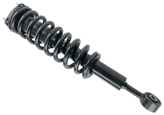 Selected complete strut assembly