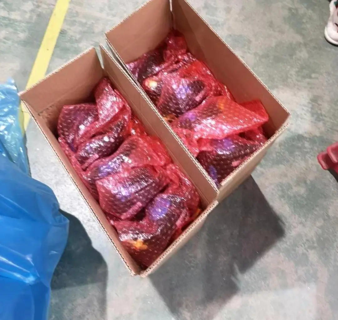 Open cartons holding red bubble-wrapped clock spring units