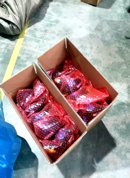 Clock spring protective packing